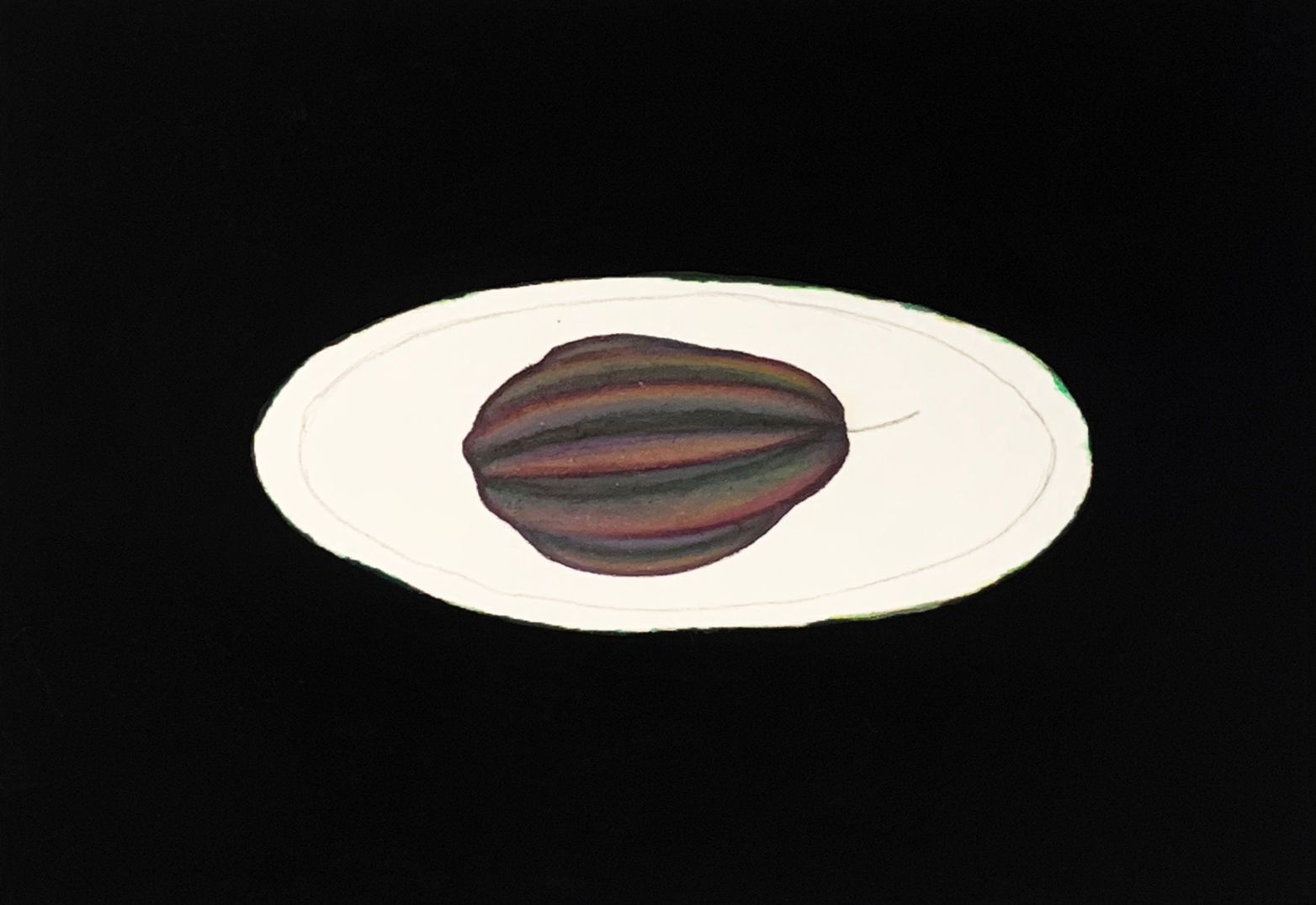 000_16x23.5cm_장지에 채색_2021 (2).jpg