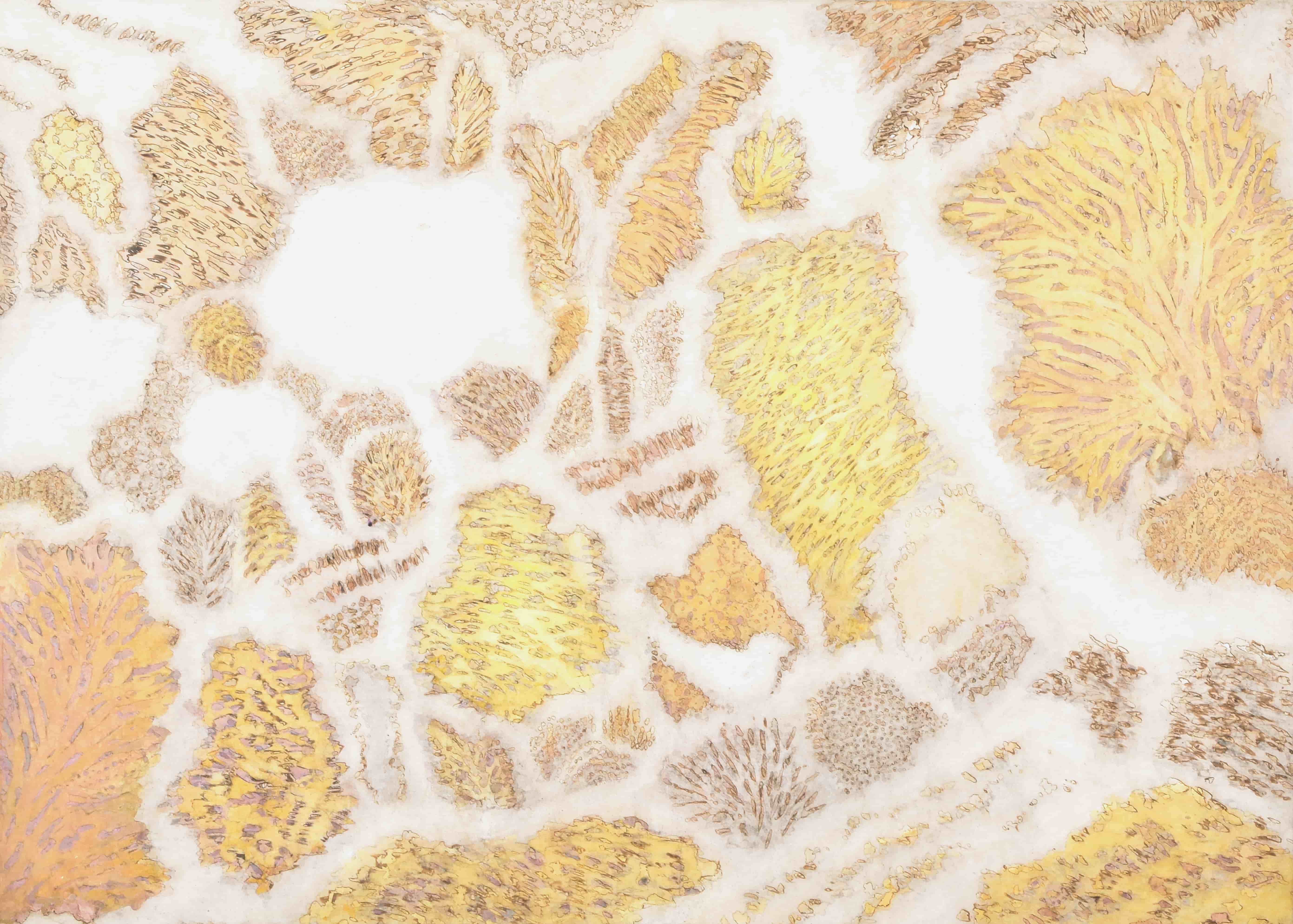 안단테3_65x90.9x5cm_향, 한지, 혼합재료_2020년.jpg