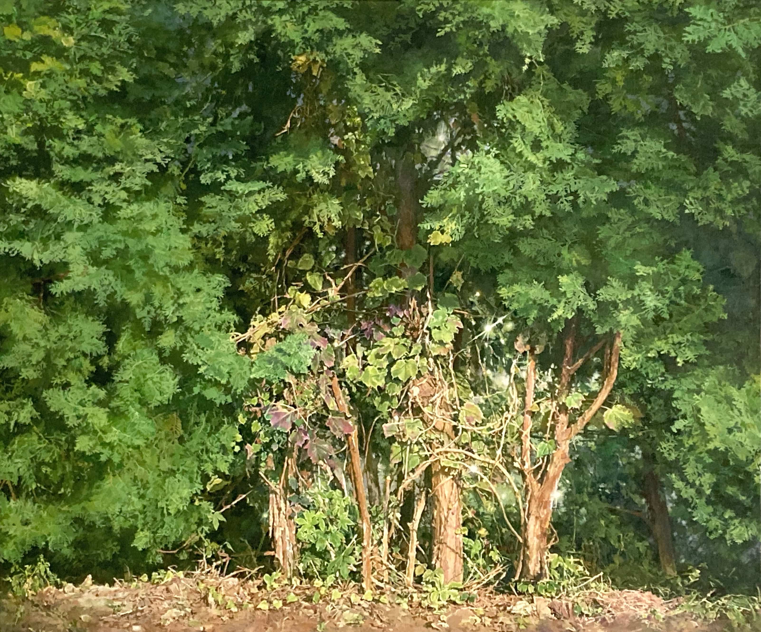평소풍-작은 나무_60.6x72.7cm_Oil on canvas_2021.jpg