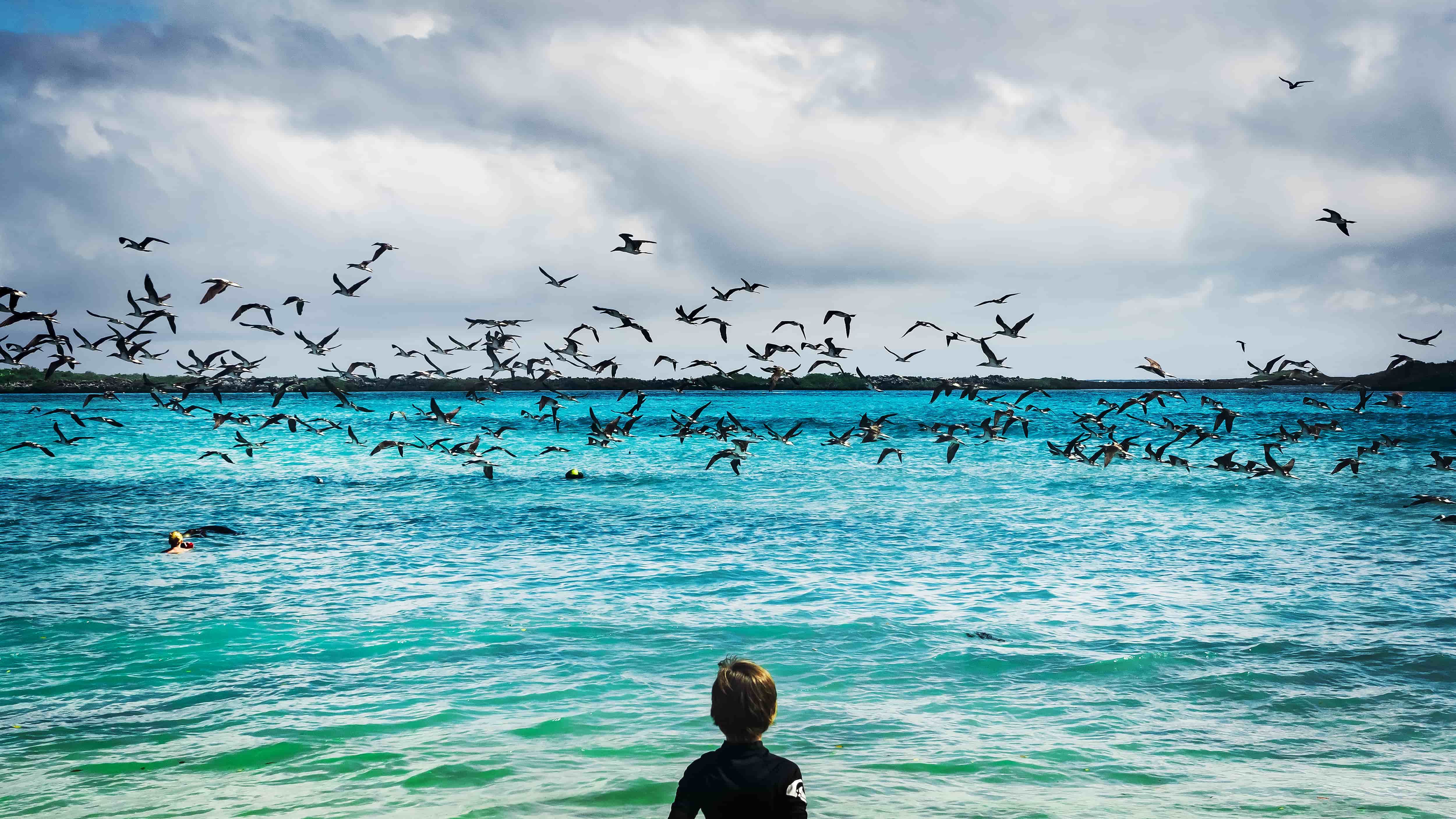 Blue-foot-Genius_67x120cm_Pigment print_2021.jpg