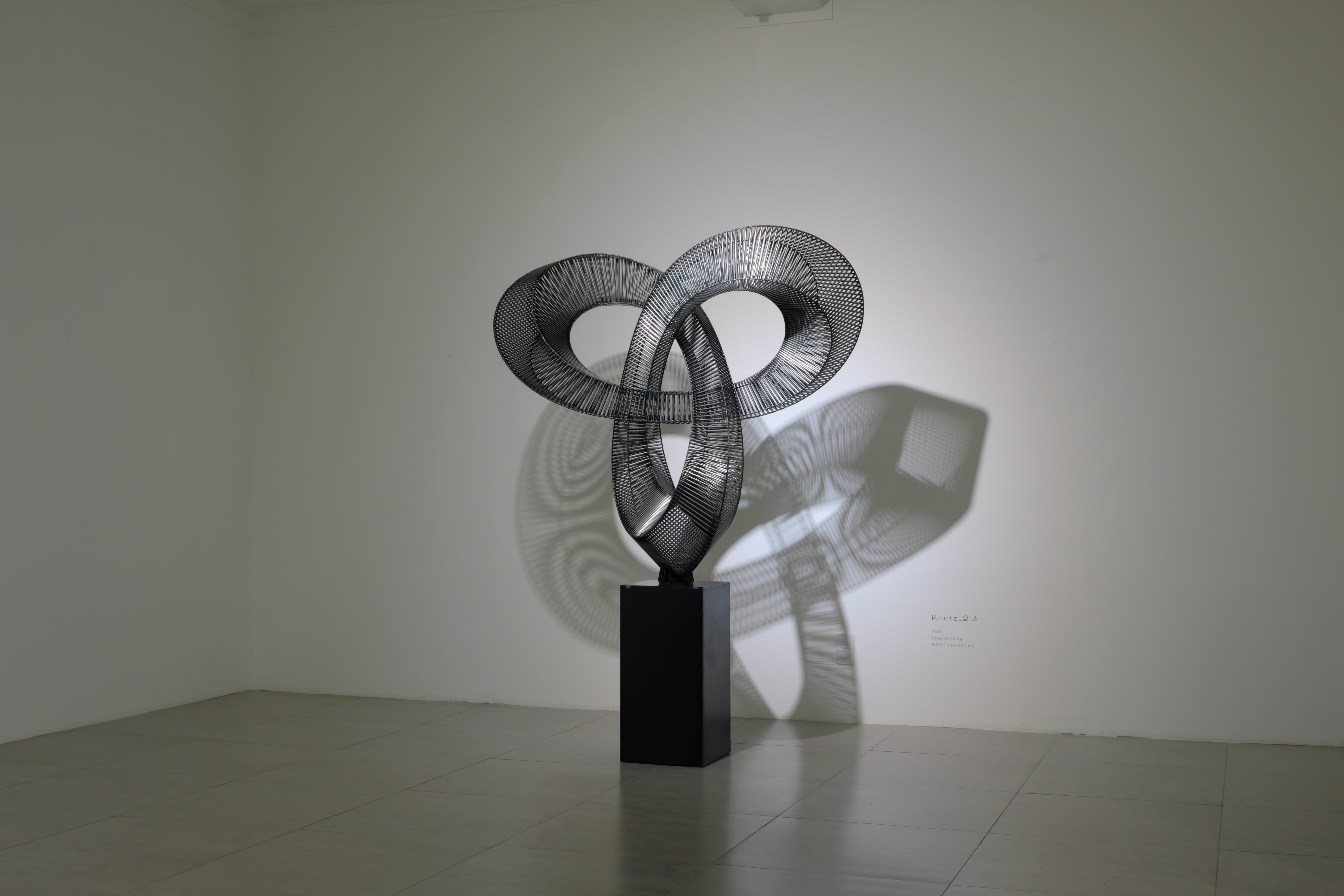 Knots_2, 3_120x130x50cm_Steel_2019.jpg