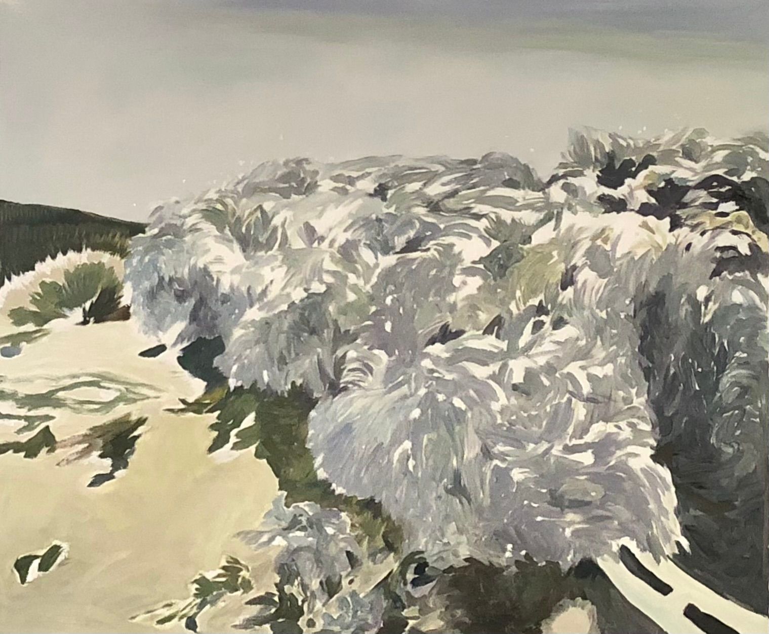 Unwhere Grass_60.6x72.7cm_Oil on canvas_2019.jpg