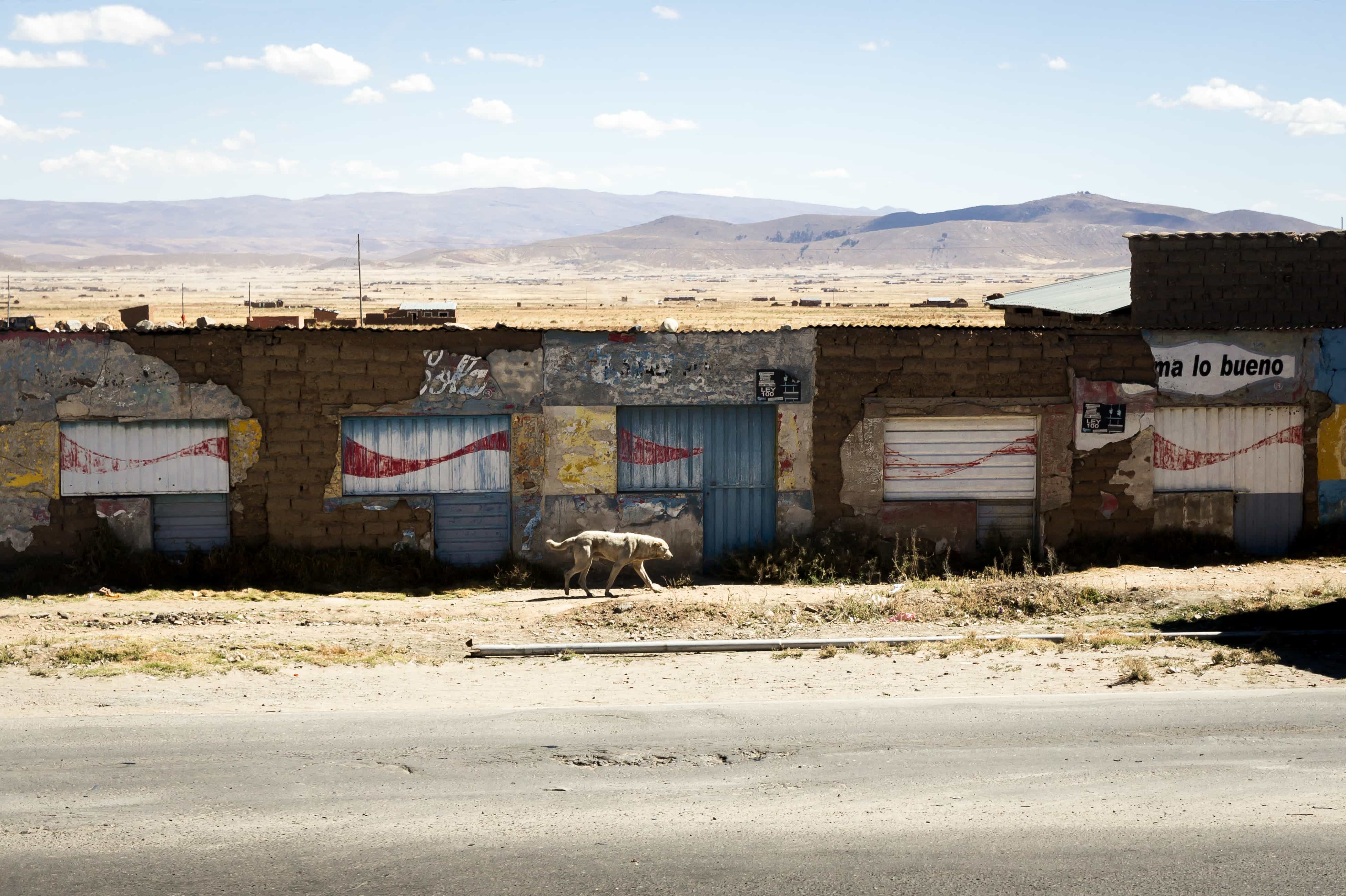 Vagabond of the world_61x91cm_Pigment print_2018.jpg