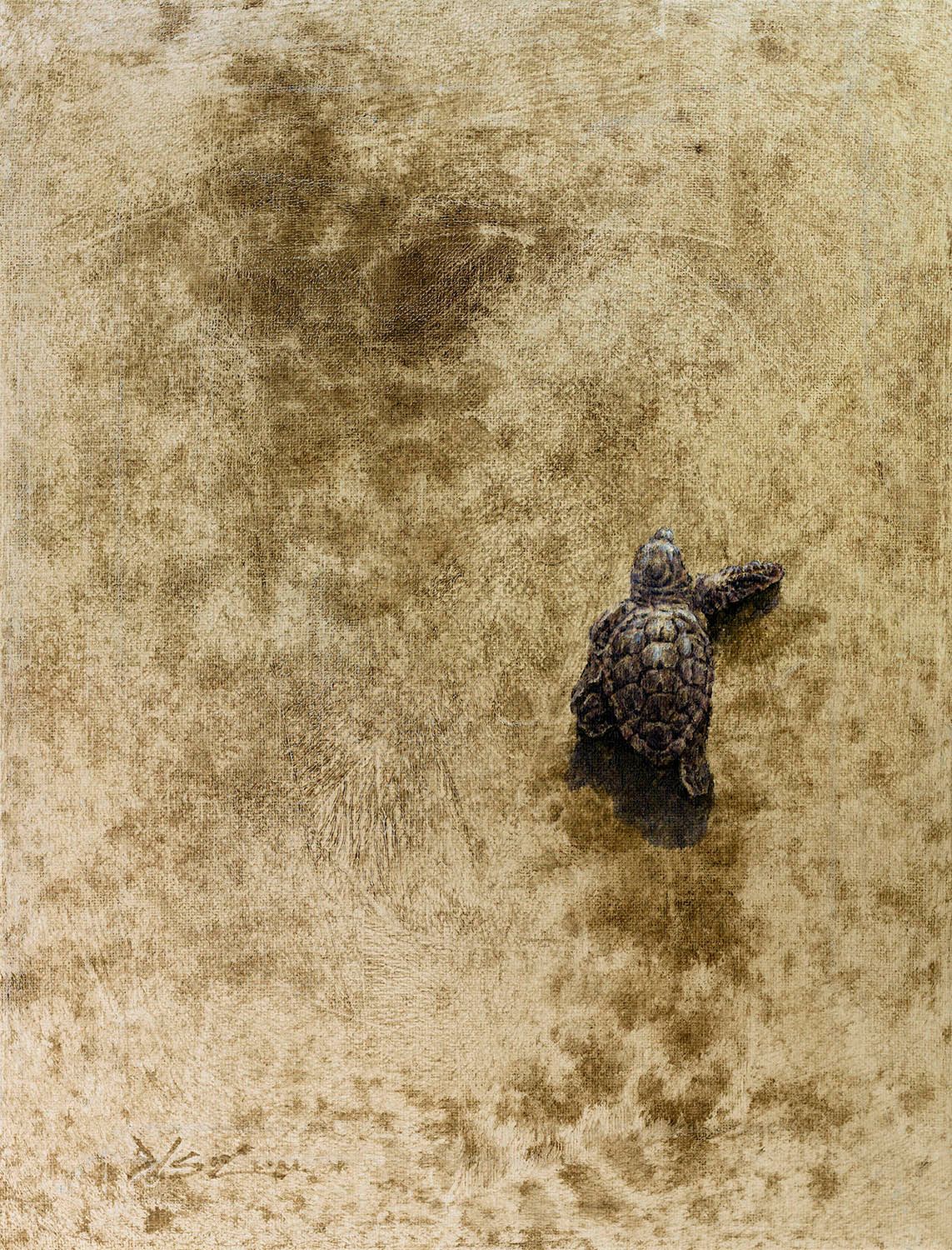 연대기적거북_순수한여정XVI_53x33.4cm_Oil on canvas_2021.jpg