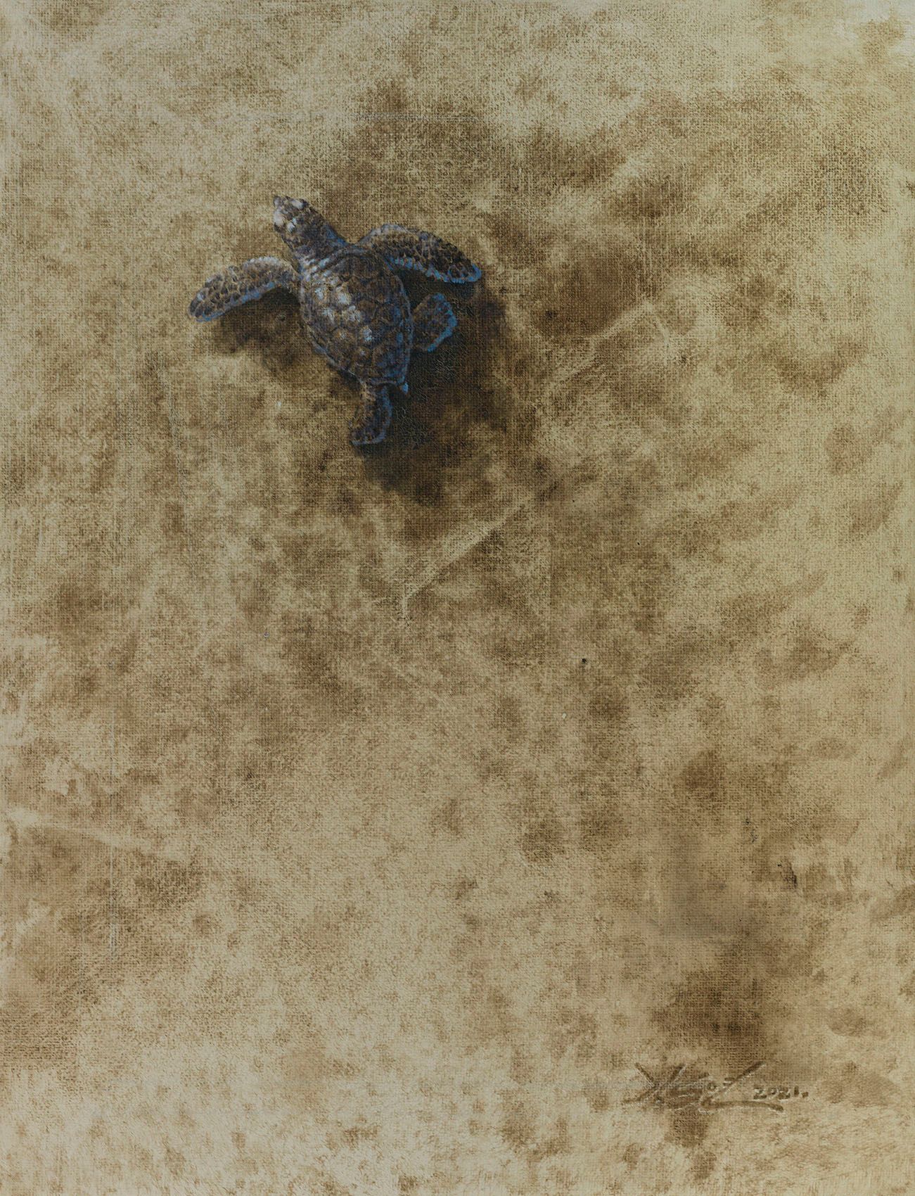 연대기적거북-순수한여정XV_53x33.4cm_Oil on canvas_2021.jpg